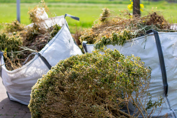 Best Dumpster Rental Services  in Taylorsville, KY